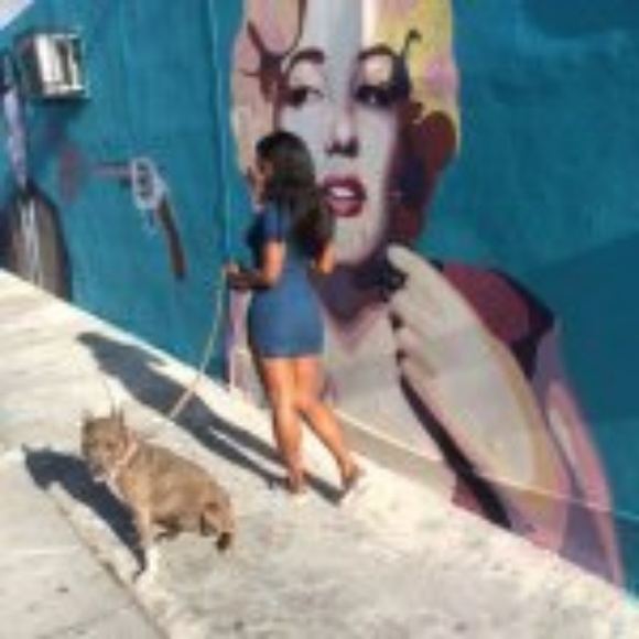 Meet your Posher, Bubbly - Picture 1 of 1